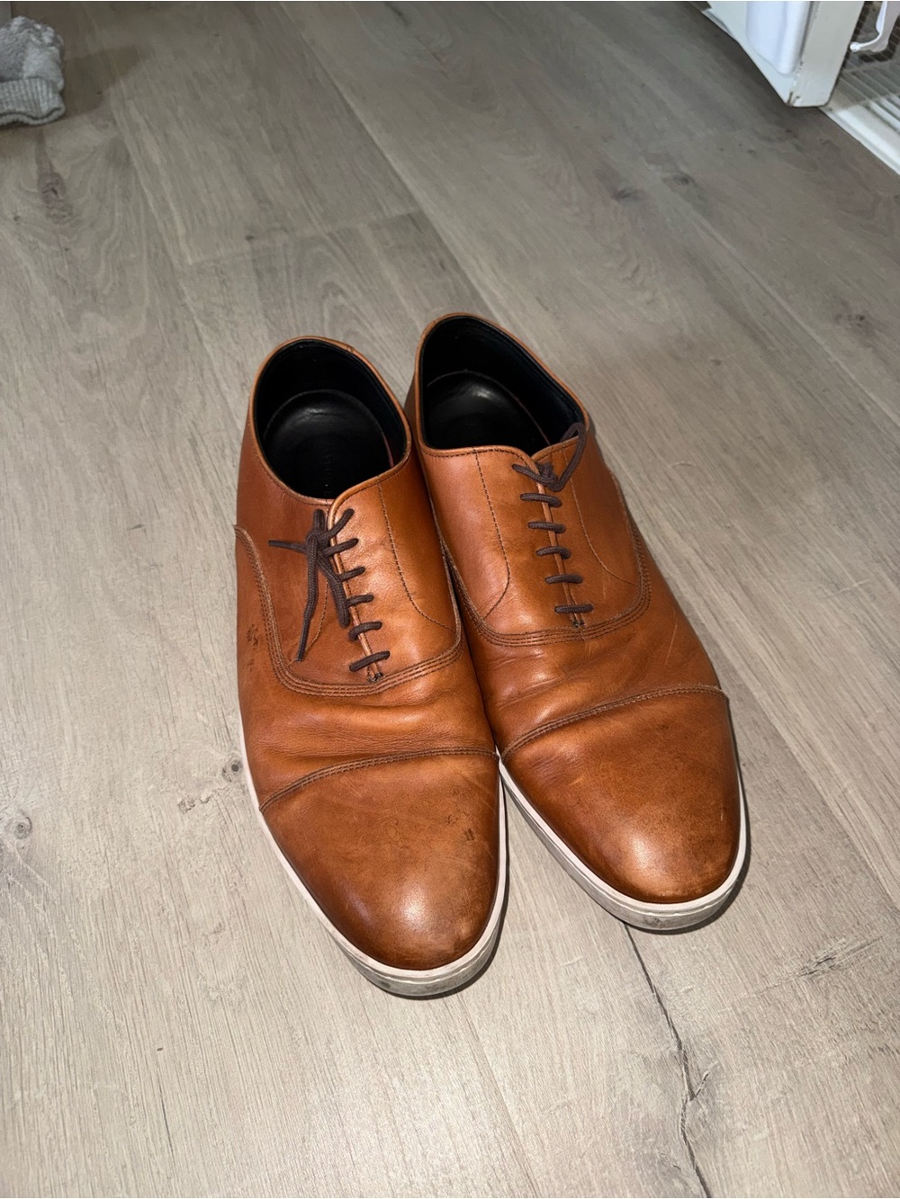 Mens Allen Edmonds park avenue sneakers